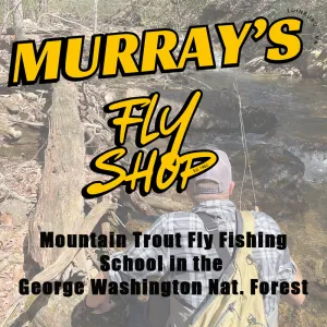 Mountain Trout Fly Fishing School in George Washington National Forest